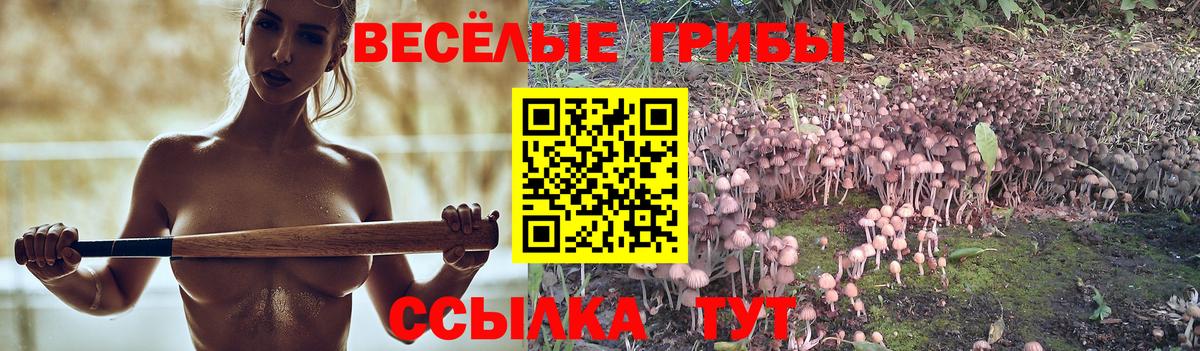Великий Новгород  как найти закладки  Вход с VPN  Галлюциногенные грибы мицелий 